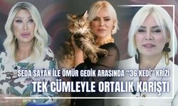Seda Sayan ile Ömür Gedik arasında “36 kedi” krizi: Tek cümleyle ortalık karıştı