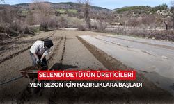 Selendi’de tütün üreticileri yeni sezon için hazırlıklara başladı