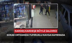 Sokak ortasında kardeş kavgası! Araçtan inip saldırdı, o anlar güvenlik kamerasında