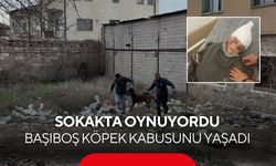 Sokakta oyun oynuyordu... Biranda hayatı karardı! 3 yaşındaki çocuk 12 günde, 3 ameliyat geçirdi...