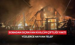 Çiftlik yangını: 250 tavuk, 150 civciv ve 180 kaz telef oldu