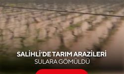 Salihli’de tarım arazileri sulara gömüldü