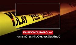 Kan donduran olay: Tartıştığı eşini döverek öldürdü