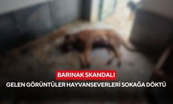 Türkiye bu görüntüleri konuşuyor... Bucak Belediyesi’ne ait barınakta dehşet görüntüler! Hayvanseverler ayakta...