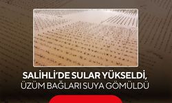 Salihli’de sular yükseldi, üzüm bağları suya gömüldü
