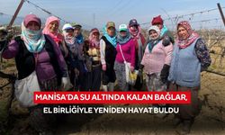 Manisa’da su altında kalan bağlar, el birliğiyle yeniden hayat buldu