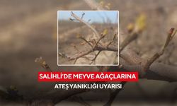 Salihli Tarım Müdürlüğü’nden uyarı: Yumuşak çekirdekli meyvelerde ateş yanıklığına karşı önlem alın