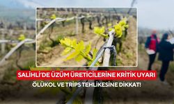 Salihli’de üzüm üreticilerine hayati uyarı: Yağışlar Ölükol riskini artırdı!