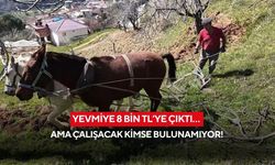 Yevmiye 8 bin TL’ye çıktı… Ama çalışacak kimse bulunamıyor!