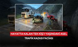 Yürekleri burkan kaza! Hayatta kalan tek kişi 1 yaşındaki Asel...