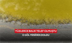 Yüzlerce balık telef olmuştu, o göl yeniden doldu | 7 ay arayla çekilen dron görüntüleri büyüledi...