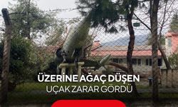 Üzerine ağaç düşen uçak zarar gördü