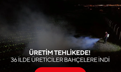 2025'te yaşanmıştı, üretim tehlikede! 36 ilde üreticiler bahçelere indi