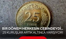 25 kuruşluk paraya 90 bin TL istediler: İlan sitelerinde "altın görünümlü" çılgınlığı