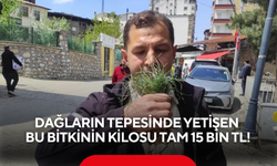 Altınla yarışıyor! Dağların tepesinde yetişen bu bitkinin kilosu tam 15 bin TL