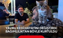 Yavru kedi hayatını değiştirdi: Bağımlılıktan böyle kurtuldu