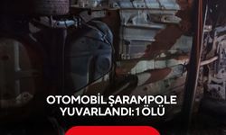 Otomobil şarampole yuvarlandı: 1 ölü