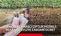 Gençlere maaşlı çiftlik modeli: Bekâra 2, evliye 3 asgari ücret