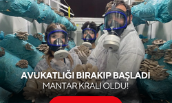 Avukatlığı bırakıp hobi olarak başladı, 365 gün kesintisiz hasat yapıyor