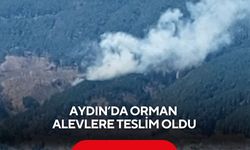 Aydın’da orman alevlere teslim oldu