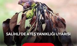 Salihli’de ayva, elma ve armut üreticilerine ateş yanıklığı uyarısı