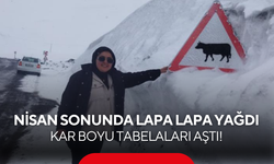 Bahar geldi derken kış geri döndü: Kar boyu tabelaları aştı