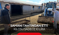 Besicinin yeni gözdesi: Samanı tahtından etti, kilosu sadece 10 lira