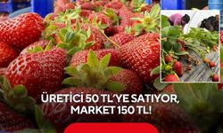 Çilek isyanı: Üretici 50 TL’ye satıyor, market 150 TL!