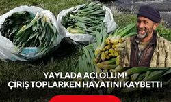 Yaylada acı son: Çiriş otu toplamaya giden adam hayatını kaybetti