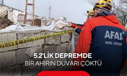 5.2'lik depremde bir ahırın duvarı çöktü