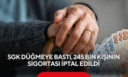 SGK düğmeye bastı, 245 bin kişinin sigortası iptal edildi, uzman isimden emeklilik uyarısı!