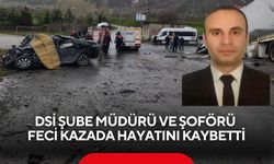 DSİ Şube Müdürü ve şoförü feci kazada hayatını kaybetti