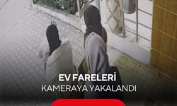 Ev fareleri önce kameraya sonra polise yakalandı