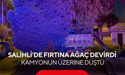 Salihli’de fırtına ağaç devirdi: Kamyonun üzerine düştü