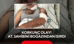 Korkunç olay! At, sahibini boğazından ısırdı!