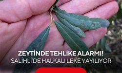 Salihli’de ‘Halkalı leke’ uyarısı