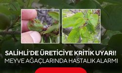 Salihli’de üreticiye kritik uyarı! Meyve ağaçlarında hastalık alarmı