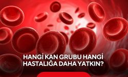 Hangi kan grubu hangi hastalığa daha yatkın? Bilimsel çalışmalar ortaya koydu