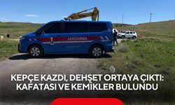 Kepçe kazdı, dehşet ortaya çıktı: Kafatası ve kemikler bulundu