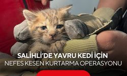 Salihli’de yavru kedi için nefes kesen kurtarma operasyonu