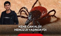 Kene can aldı! Henüz 21 yaşındaydı