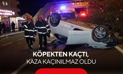 Köpeğe çarpmamak isteyen sürücü kaza yaptı: Otomobil takla attı