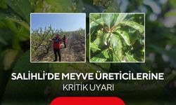 Salihli’de meyve üreticilerine kritik uyarı: Çil ve filiz güvesine dikkat