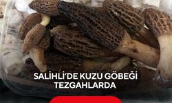 Salihli’de Kuzu göbeği tezgahlarda