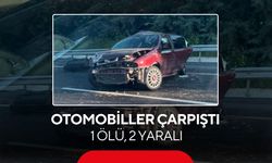 Otomobiller çarpıştı: 1 ölü, 2 yaralı