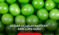 Dudak uçuklatan fiyat! Erik lüks oldu