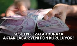 Kesilen cezalar buraya aktarılacak: Yeni fon kuruluyor!