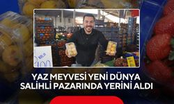 Yaz meyvesi yeni dünya Salihli pazarında yerini aldı