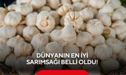Dünyanın en iyi sarımsağı belli oldu! Listede Türkiye'den 2 şehrimiz var