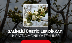 Salihlili üreticiler dikkat ! Kirazda Monilya tehlikesi